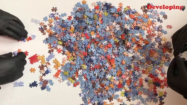 Collected 1500 Puzzles In 3 Minutes / Собрал 1500 пазлов за 3 минуты ЧЕЛЛЕНДЖ