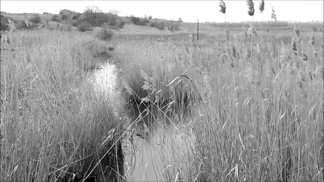 Only fly fishing- Первый день весны смотреть онлайн