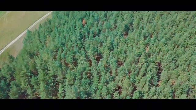 Видео зоны поселка Лесная Пристань