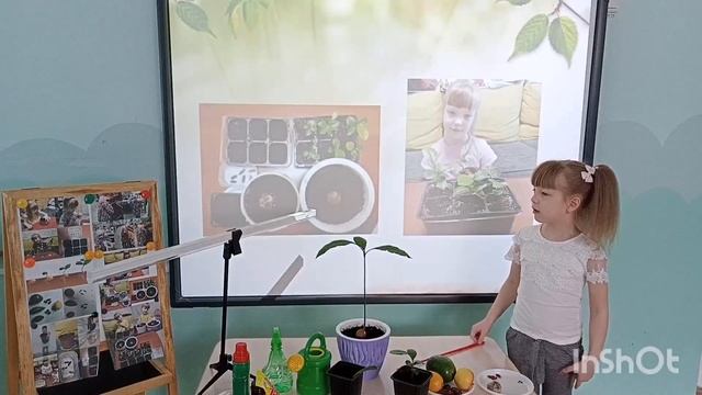 "Калейдоскоп открытый - 2023" "Тропические деревья из семян в домашних условиях" смотреть онлайн