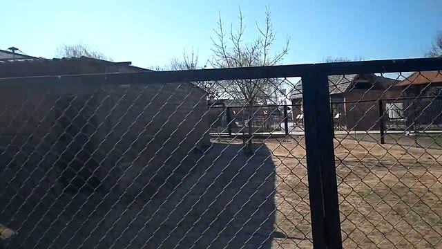 Олег Никулика и ЭКОЛОГИЧЕСКИЙ ПАТРУЛЬ в зоопарке "Баба Фрося" смотреть онлайн