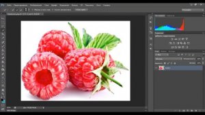 КАК скопировать выделенный объект на новый слой в фотошопе