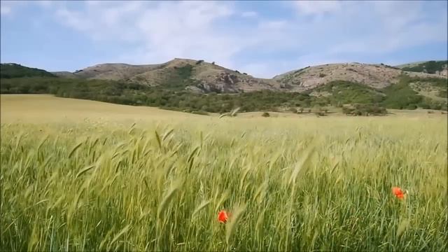 КАК ИЗМЕНИТЬ СЕБЯ? Меняя себя, Вы помогаете и своим Любимым смотреть онлайн