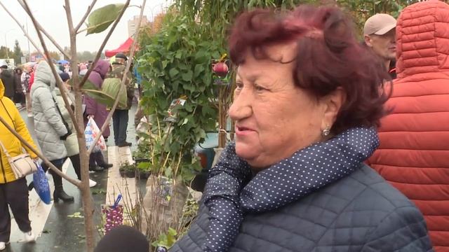 Региональная ярмарка в Солигорске смотреть онлайн