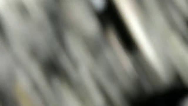 Клопы - солдатики: макросьемка. смотреть онлайн