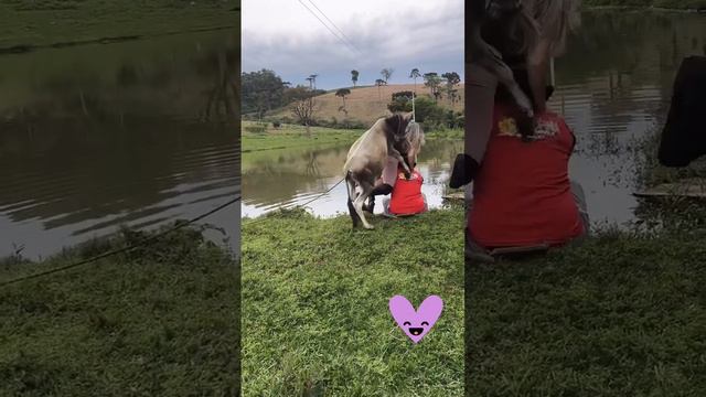 🤣 что это? смотреть онлайн