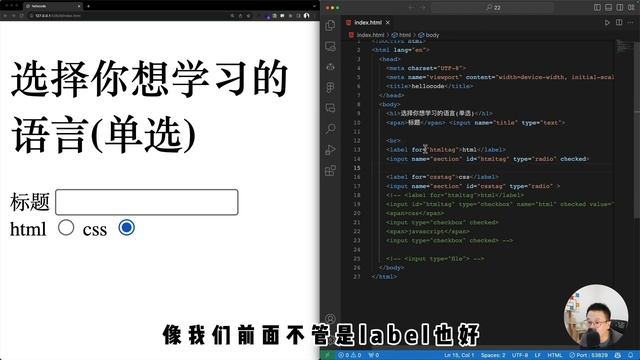 [网站开发入门指南22] input重要的那些属性 name value ｜ html css零基础入门教程 смотреть онлайн