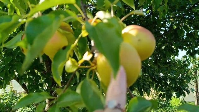 Я себе не на помойке нашла Уборка в доме смотреть онлайн