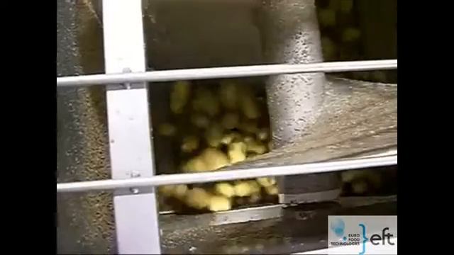Ножевой пиллер для очистки картофеля FTNON B.V..mp4 смотреть онлайн