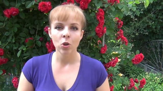 ☀ВКУСНЫЕ и ПОЛЕЗНЫЕ ЗАВТРАКИ☀ на каждый день. ТОП-7+1 смотреть онлайн