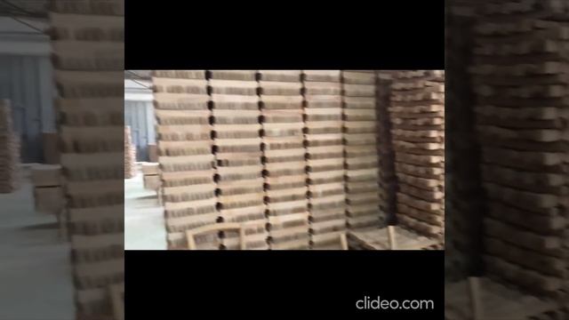 Фабрика «Максимал-Север» (г.Махачкала) смотреть онлайн