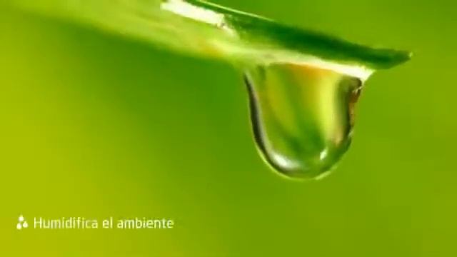 Daikin MCK75J очиститель-увлажнитель воздуха смотреть онлайн