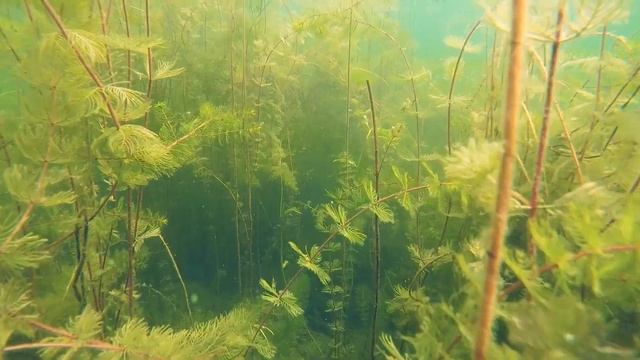 Лепельские озера. смотреть онлайн