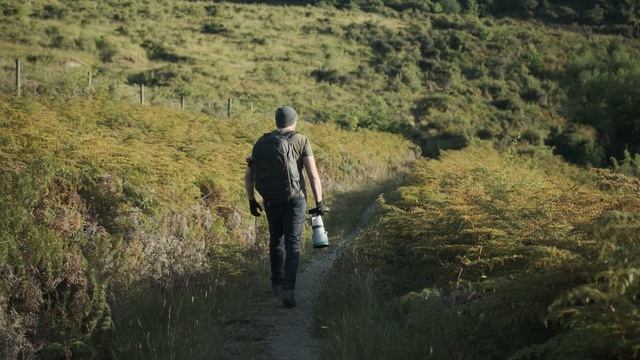 Capturing Wildlife with the Fujifilm X-T5: Does it compare to the X-H2S? смотреть онлайн