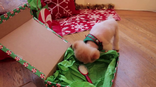 Приключение с Бу в канун Рождества смотреть онлайн