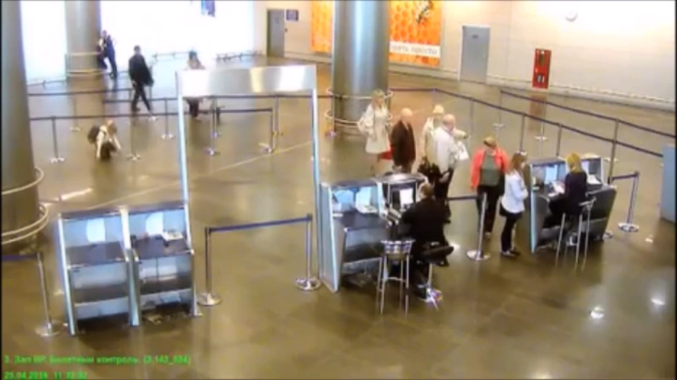 Жизнь вокруг нас