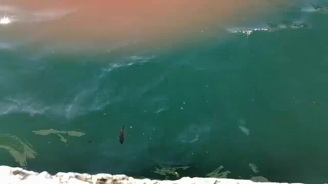 Рыбалка в Сочи с волнореза смотреть онлайн