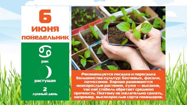 Календарь садовода на 6 июня смотреть онлайн