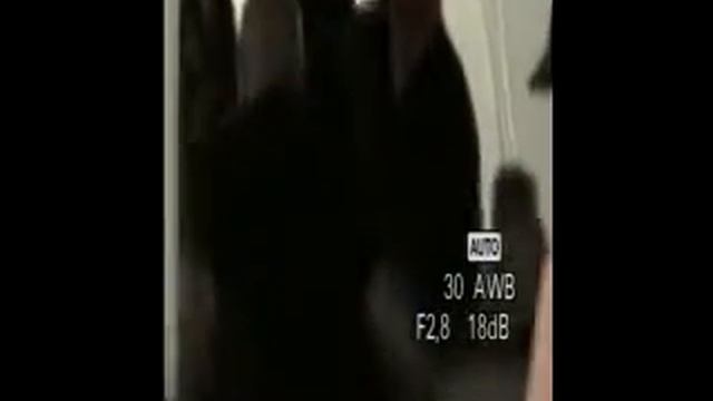 TRANSFORMERS 2 (REVENGE OF THE FALLEN)9 смотреть онлайн