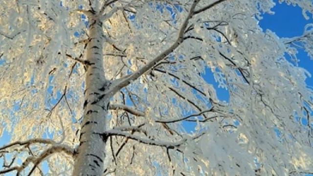 Спирин Антон Белая береза смотреть онлайн