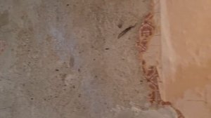 Шок! Как живут в коммуналках в центре Питера!