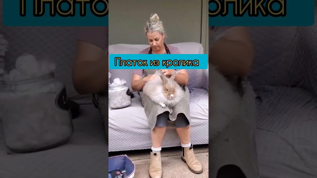 Вяжем из шерсти кролика смотреть онлайн