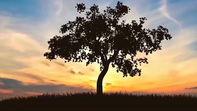 Musicas Romanticas Amor Puro Para Trabajar Y Concentrarse, Grandes Exitos Baladas Romanticas Exitos