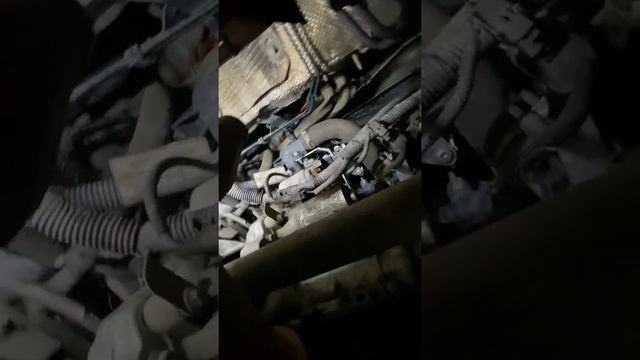 Egr nasıl iptal edilir Ford Focus смотреть онлайн