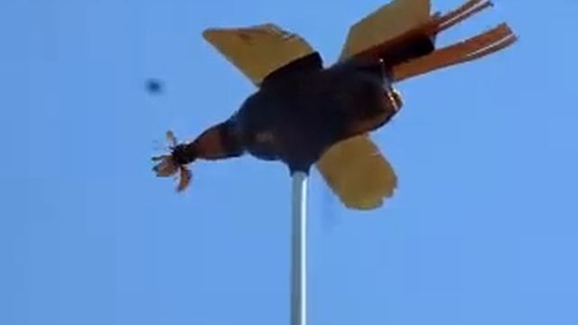 Отпугиватель птиц из пластиковых бутылок .Версия 1 смотреть онлайн