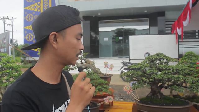 Ppbi Cab Sambas Gak Main Main ( Pameran & Kontes Bonsai Lokal Terbuka Se Kalbar 2022 ) смотреть онлайн