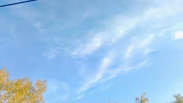 ждем грибы смотреть онлайн