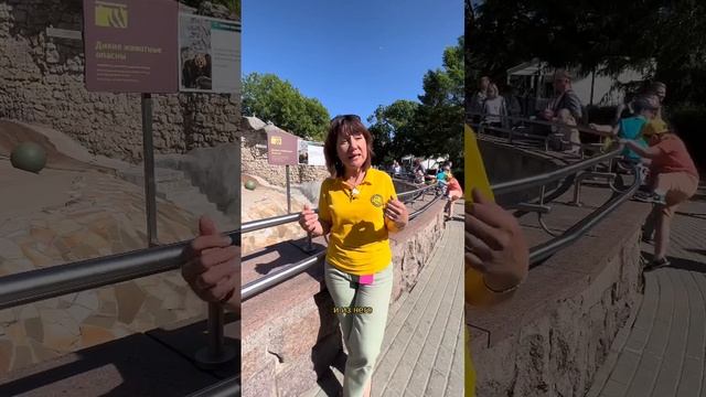 Впадает ли медведь в спячку? ?? Это миф! #tiktok #Зоомифы #зимняяспячка смотреть онлайн