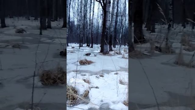 Болото смотреть онлайн