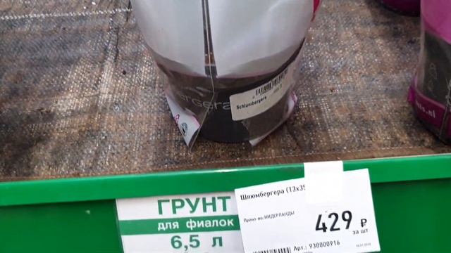 Комнатные Растения и Цветы. ОБЗОР. БАУЦЕНТР.