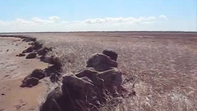 Кушерека смотреть онлайн