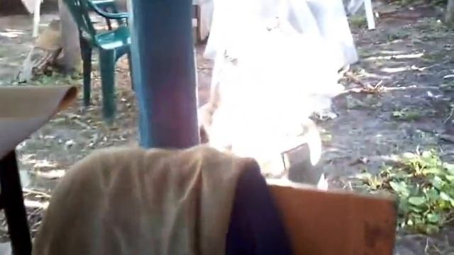 коты путаются под ногами смотреть онлайн