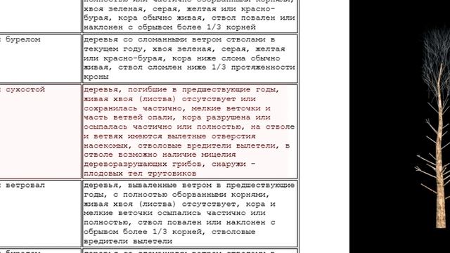 Закладка пробных площадей смотреть онлайн