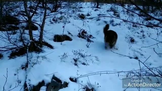 (Аскино) лединая пещера смотреть онлайн