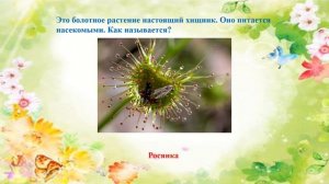 Всемирный День Земли