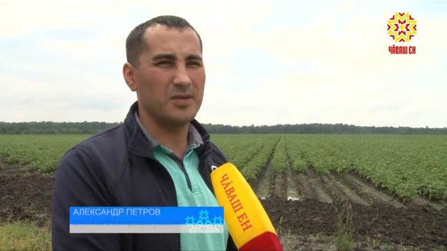 Тепло последних недель повлияло на ситуацию на полях республики. смотреть онлайн