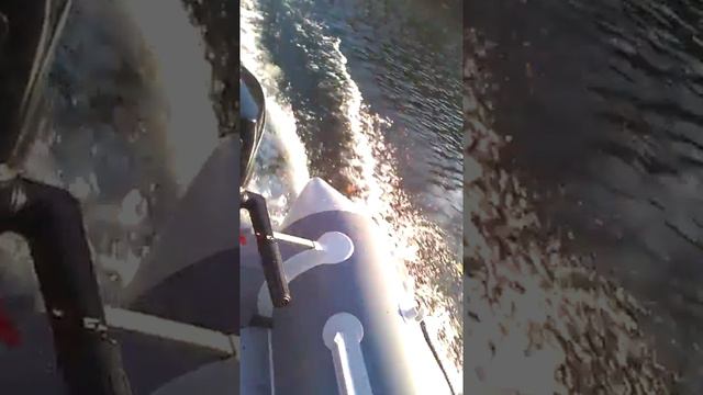 Hangkai 5cp..pe lacul Tarnița смотреть онлайн