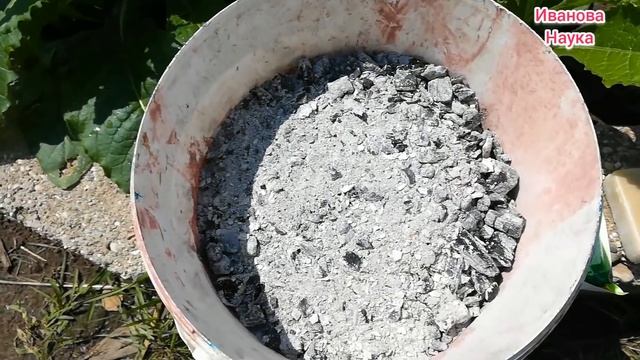 Обрабатываю им ВСЁ! МАЛАХИТОВЫЙ раствор от пероноспороза, фитофторы, мучнистой росы и всех болезней смотреть онлайн