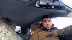 Буксировка Тойота Приус - оказывается это можно делать! А говорили, что нельзя?!