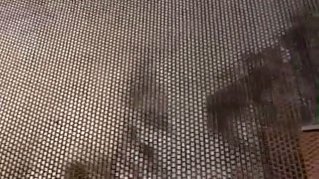 Realistic surrealistic cloud sculpture смотреть онлайн