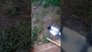 Резцы для твёрдых пород дерева из напильника.