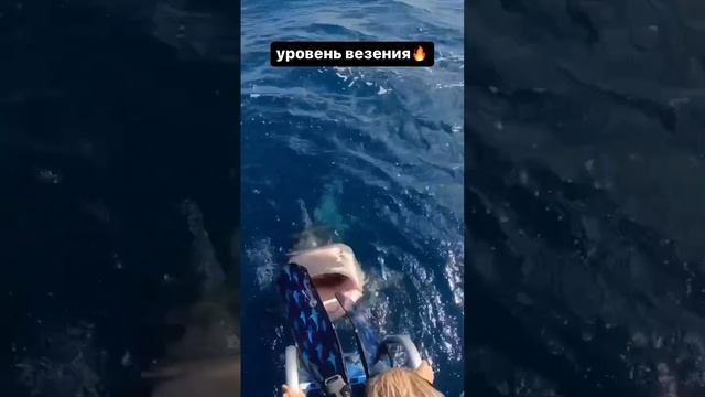 Везучая смотреть онлайн