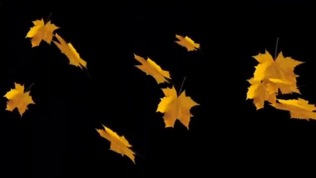 ОСЕННИЙ БЛЮЗ В ДЕНЬ КЛЕНОВОГО ЛИСТА. смотреть онлайн