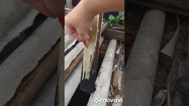 препарат для септиков,туалетов и выгребных ям . Часть 1 ,,Запуск " смотреть онлайн