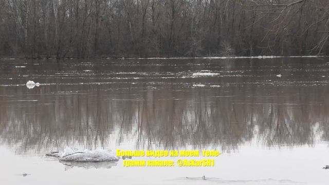 Угроза паводка. Урал быстро поднимается! Уральск 23 марта, 2023г. смотреть онлайн