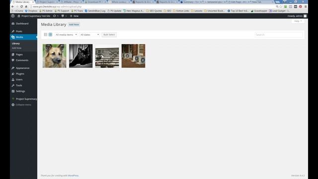 LCT Replay | Project Supremacy & Schema смотреть онлайн